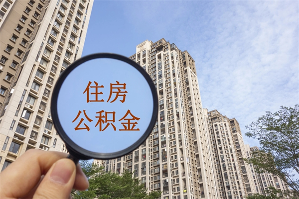 黑龙江全国住房公积金缴纳人数（黑龙江2020公积金人数）